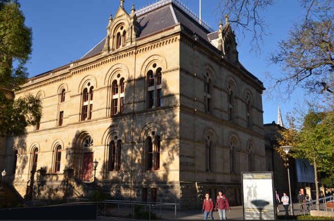South Australian Museum